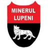 Минерул Лупени