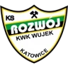 Розвуй Катовице