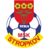 Тесла Стропков