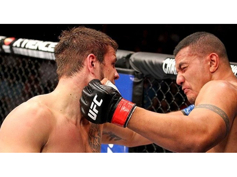 Большое изображение прогноза Ординар от Alex