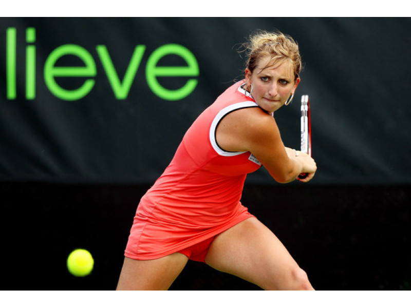 Большое изображение прогноза Ординар от Антон Циммерман