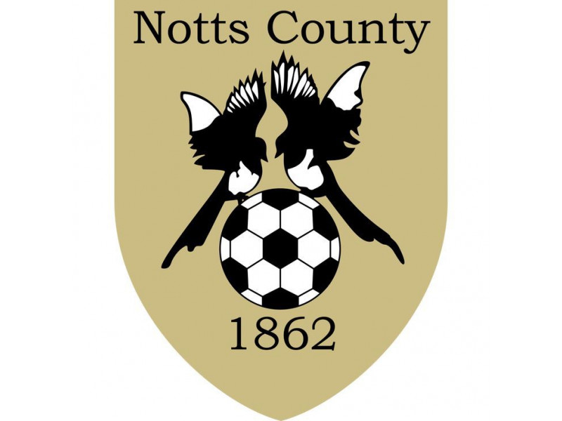 Большое изображение прогноза Ординар от Sigurdson