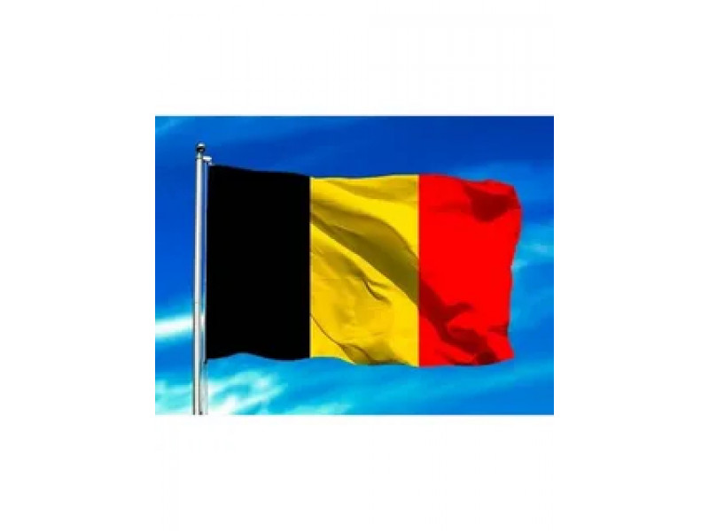 Большое изображение прогноза Ординар от Sigurdson