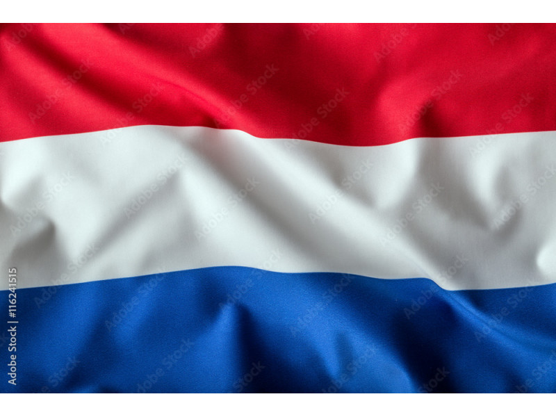 Большое изображение прогноза Ординар от wariors8222