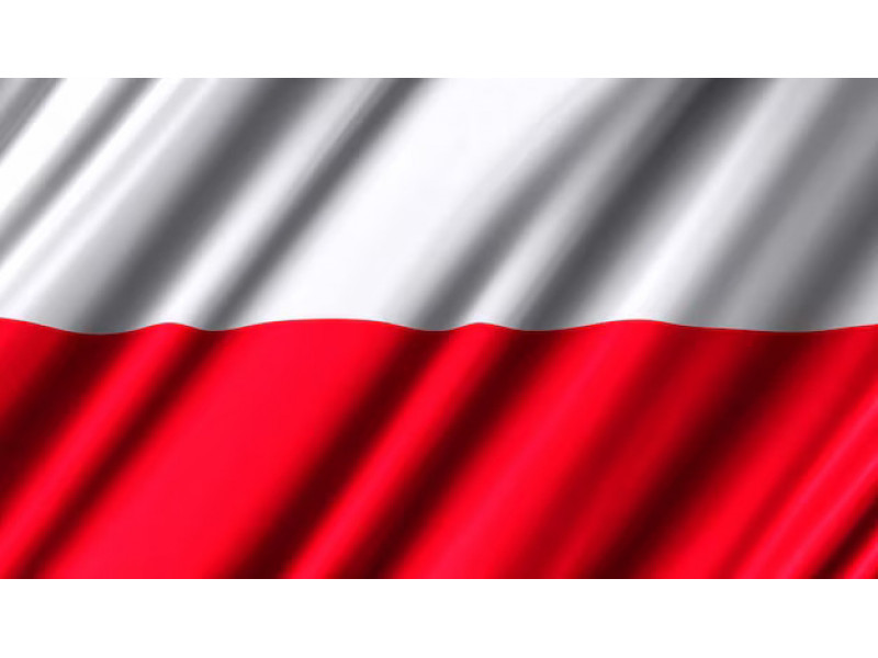 Большое изображение прогноза Ординар от wariors8222