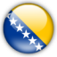 Босния и Герцеговина до 21