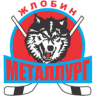 Металлург Жлобин