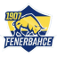 1907 Fenerbahce e-Spor