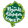 Бьерклевен