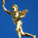 GoldenBoy