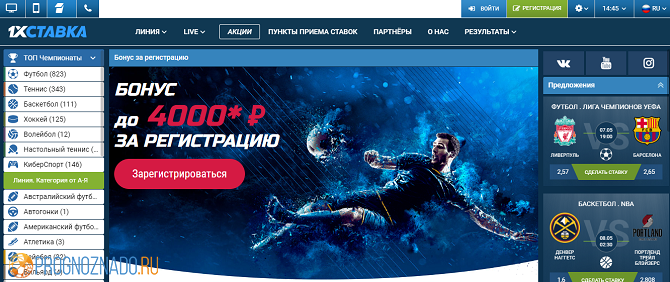 Программа лояльности и бонусы